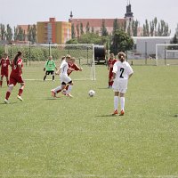 IMG 1946